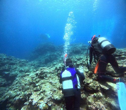 ファミリーダイビング1