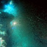 <span class="title">石垣島は透明度がグングン急上昇！アーチの小魚も大爆発、、、しかしマンタ不発！</span>