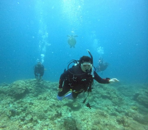 ファンダイビング1