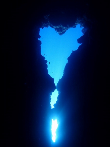 オープンハート