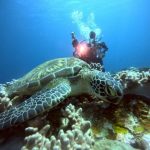 <span class="title">台風前で快晴熱波の石垣島！リピーターさんと夏のアーチ大満喫のダイビング！</span>