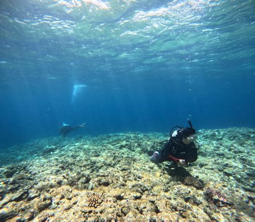 ファンダイビング2