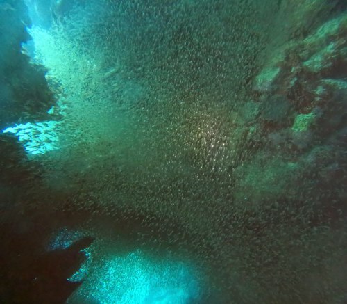 水中洞窟1