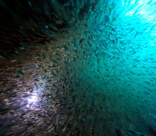 水中洞窟4