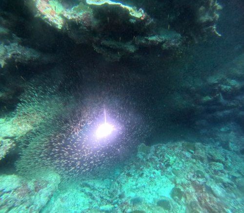 水中洞窟5