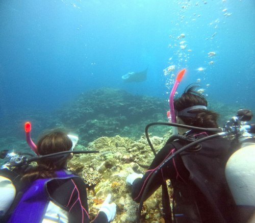 ファミリー体験ダイビング