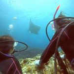 <span class="title">石垣島でマンタとウミガメに遭遇！親子でファミリー体験ダイビング！</span>