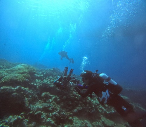 ファンダイビング1