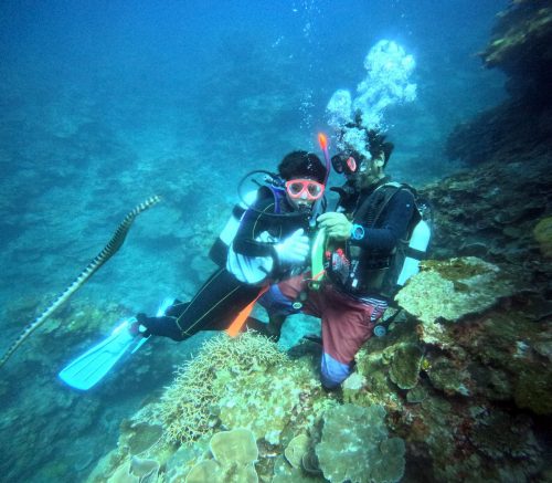 体験ダイビング2