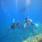 <span class="title">マンタ不在の石垣島？台湾からのお客さんとファンダイブ＆体験ダイビング！</span>