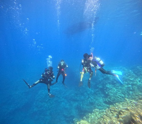 台湾人ダイバー