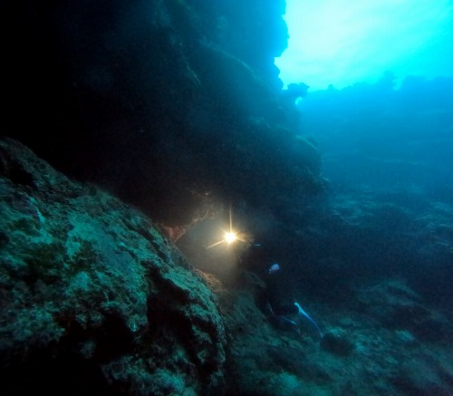 ファンダイビング