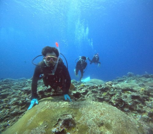 体験ダイビング