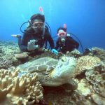 <span class="title">晴れの石垣島！マンタポイントでファンダイブ＆体験ダイビング！</span>