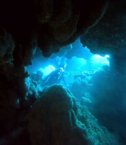 ファンダイビング