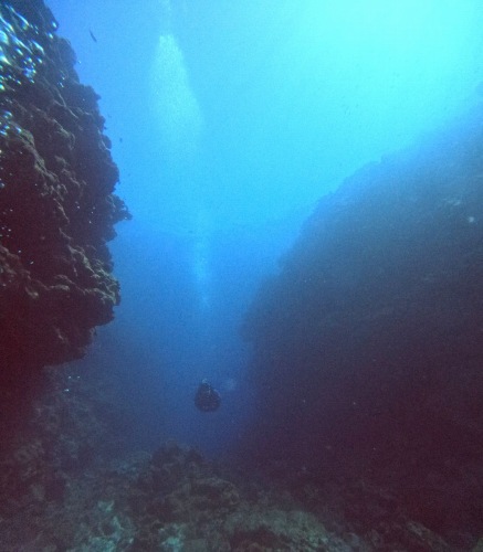 ファンダイビング