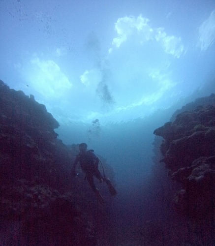 体験ダイビング