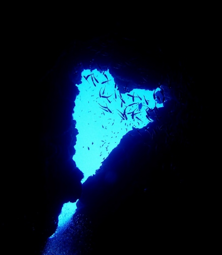 オープンハート