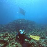 <span class="title">ベタ凪の石垣島でダイビング！上も下も待ったけど・・・マンタ3匹ホバリング！</span>