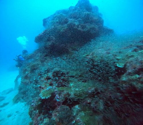 ファンダイビング