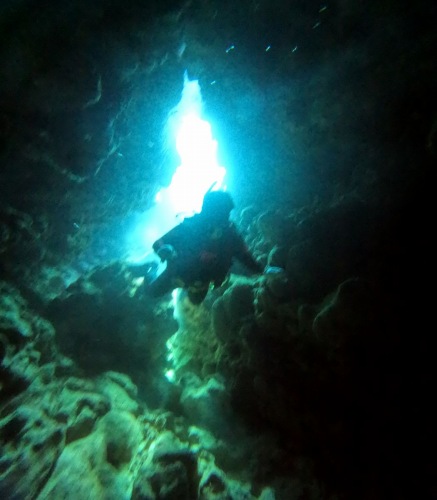 ファンダイビング1