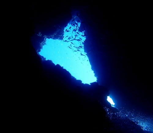 オープンハート