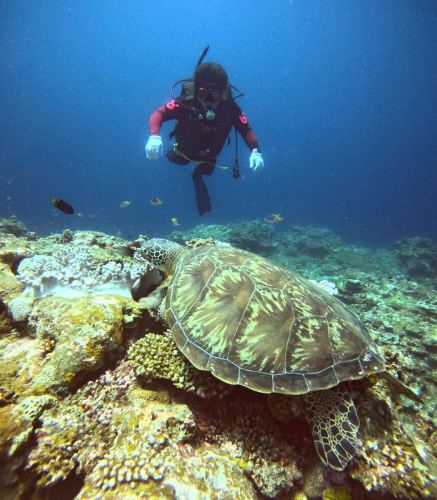 ファンダイビング2