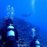 <span class="title">マンタ渋滞の石垣島？マンタは大接近＆頭上通過で大興奮のダイビング！</span>