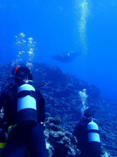 ファンダイビング