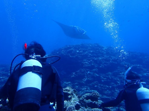 体験ダイビング