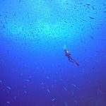 <span class="title">スーパーブルーの石垣島！透明度極上の竹富島エリアでダイビング！</span>