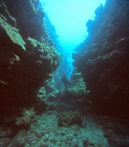 ファンダイビング2