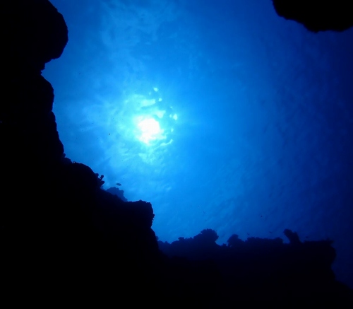 ファンダイビング1