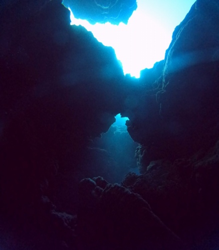 ファンダイビング2