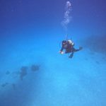 <span class="title">石垣島の外洋攻め！久し振りにビッグドロップオフでファンダイビング！</span>