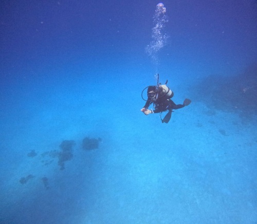 ファンダイビング1