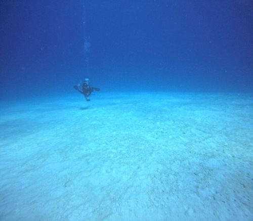 ファンダイビング2