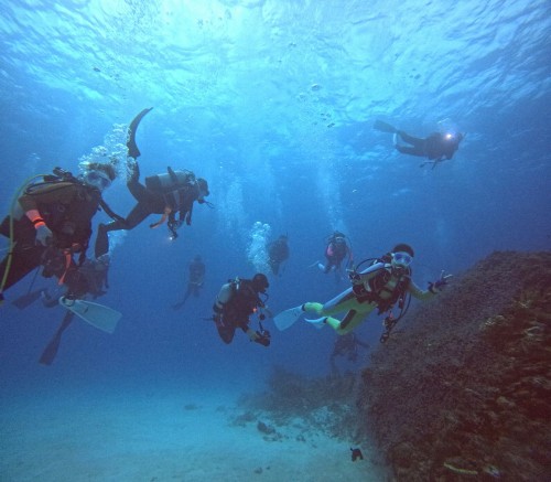 ファンダイビング1