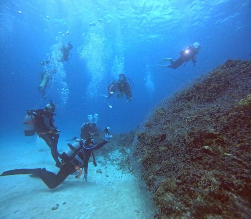 ファンダイビング2