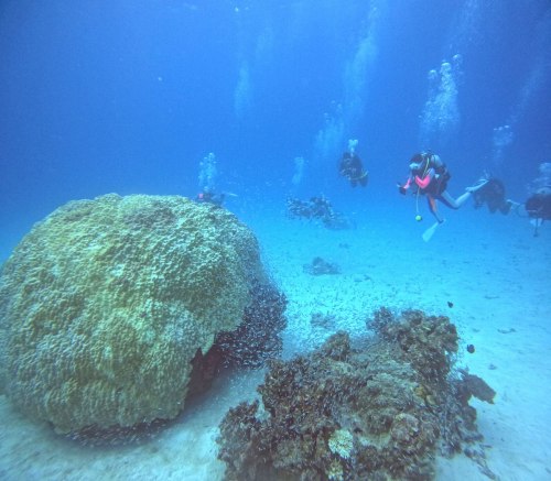 ショップツアー