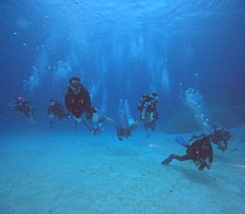 ファンダイビング1