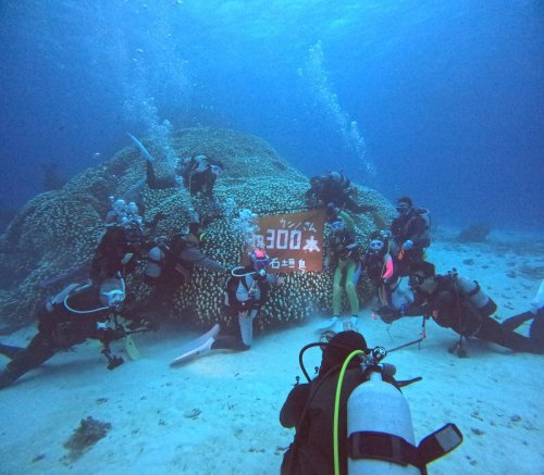 記念ダイブ