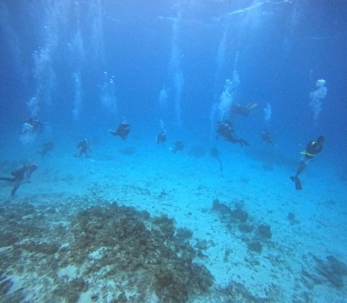 ショップツアー
