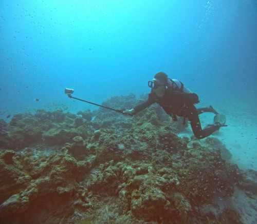 体験ダイビング2