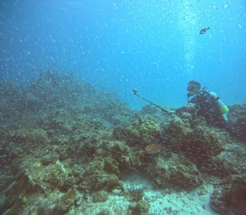 体験4ダイビング3