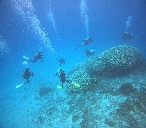 ファンダイビング1