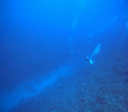 ファンダイビング3