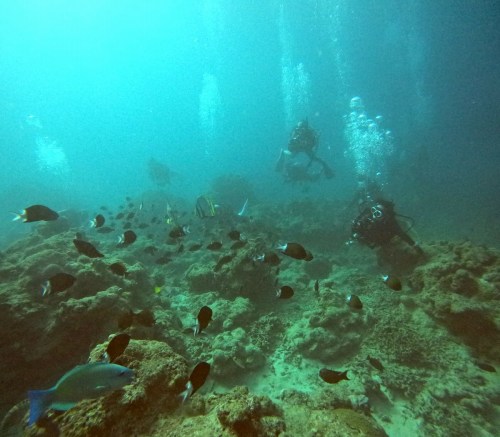 ショップツアー