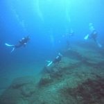 <span class="title">オーシャントライブ in 石垣島！石垣島西海岸で賑やか系ダイビング？</span>