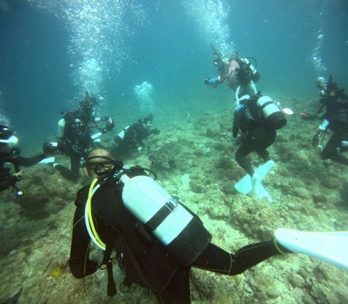 ファンダイビング2